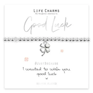 Wish You Good Luck Bracelet - Silver